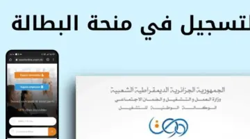 شروط منحة البطالة 2024