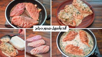 صدور الدجاج بالصوص