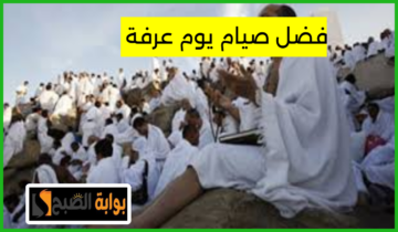 أفضل دعاء يقال على جبل عرفات وفضل صيام يوم عرفة على لسان عالم أزهري