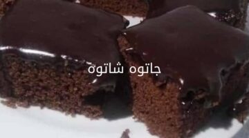 طريقة عمل جاتوه شاتوه
