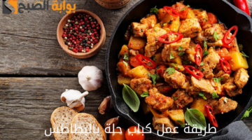 طريقة عمل كباب حلة بالبطاطس