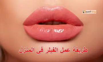 لتسمين الوجه وشد البشرة.. طريقة لعمل فيلر خدود في المنزل من مكونات طبيعية بعدها هتنسى النحافة للأبد