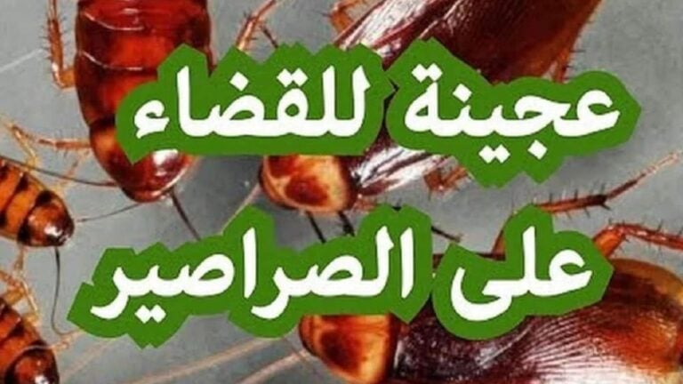 وصفة طبيعية مذهلة لإبادة الصراصير بسهولة وأمان في المطبخ دون استخدام مواد كيميائية ضارة