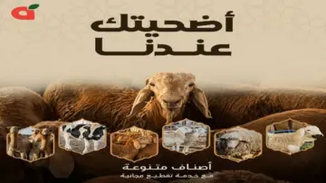 تخفيضات ضخمة.. أقوى عروض بنده لعيد الأضحي 2024 تحت شعار أضحيتك عندنا