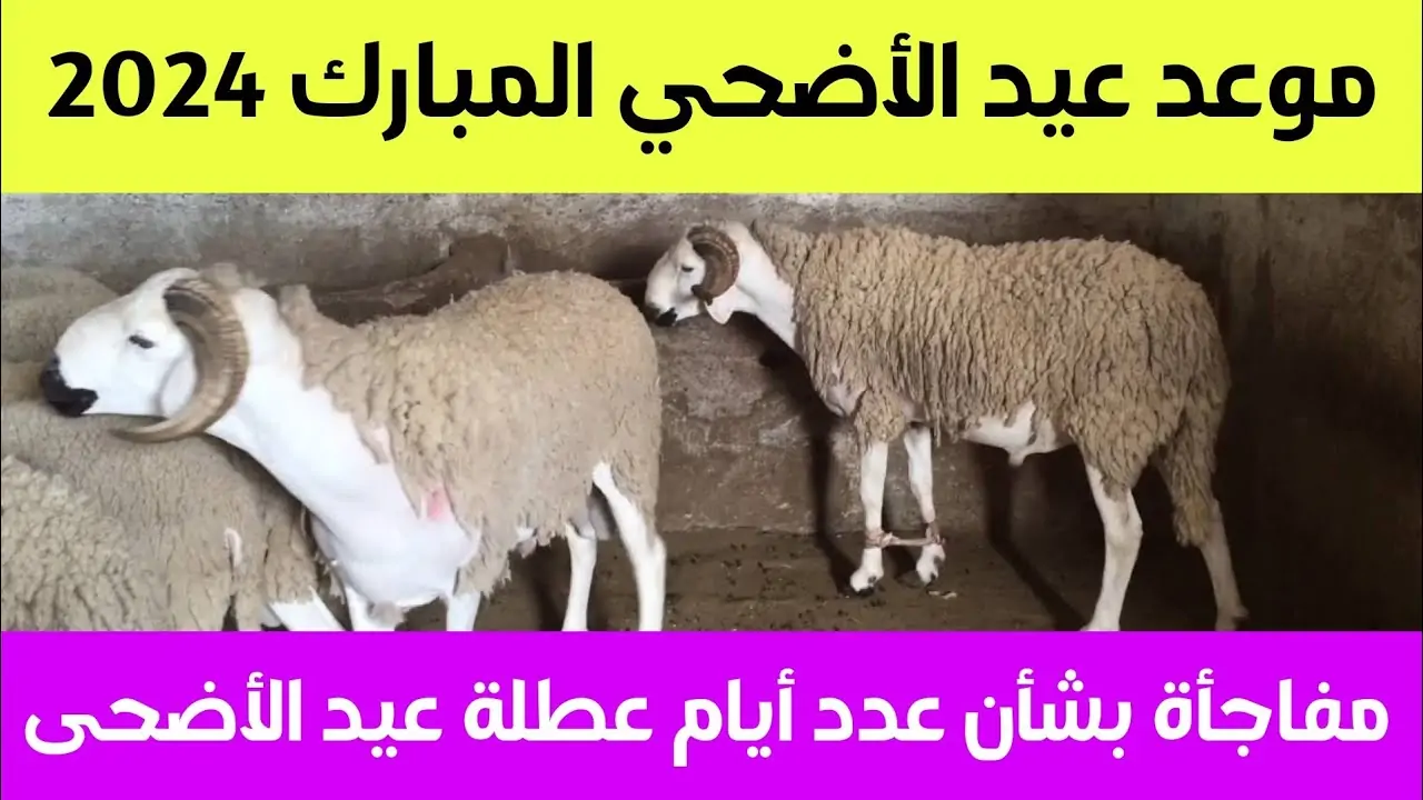 العيد أمتى في الأردن؟.. موعد عطلة عيد الضحى في الأردن وعدد أيام الإجازة 2 العيد أمتى في الأردن؟.. موعد عطلة عيد الضحى في الأردن وعدد أيام الإجازة