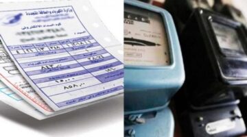 فاتورة الكهرباء برقم العداد