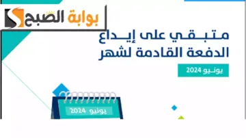 كم متبقي على إيداع دعم حساب المواطن؟ البرنامج يجيب ويكشف الفرق بين الاعتراضات المالية والأهلية