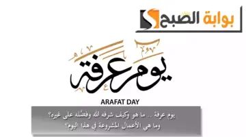 لبتلتلانالتبلتاالت