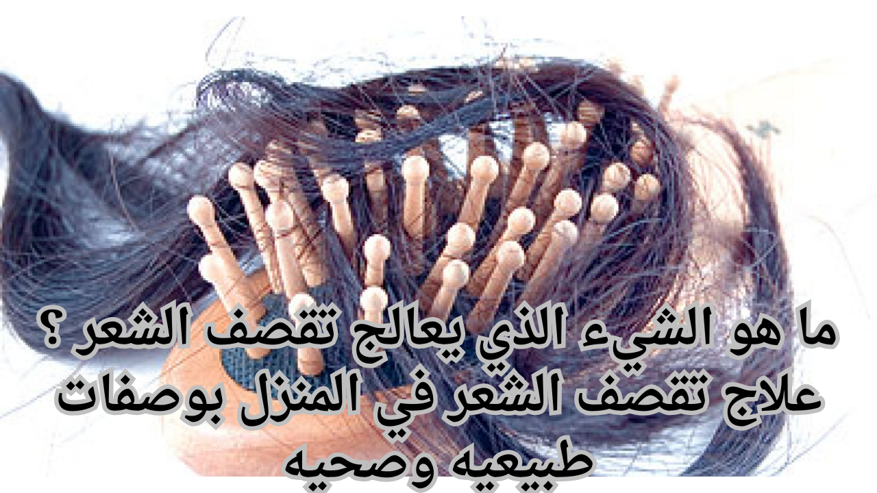 ما هو الشيء الذي يعالج تقصف الشعر ؟ علاج تقصف الشعر في المنزل بوصفات طبيعيه وصحيه 5 ما هو الشيء الذي يعالج تقصف الشعر ؟ علاج تقصف الشعر في المنزل بوصفات طبيعيه وصحيه