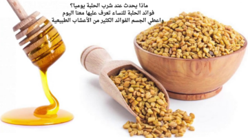 ماذا يحدث عند شرب الحلبة يوميا؟ فوائد الحلبة للنساء تعرف عليها معنا اليوم واعطي الجسم الفوائد الكثير من الأعشاب الطبيعية