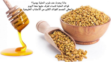 ماذا يحدث عند شرب الحلبة يوميا؟ فوائد الحلبة للنساء تعرف عليها معنا اليوم واعطي الجسم الفوائد الكثير من الأعشاب الطبيعية