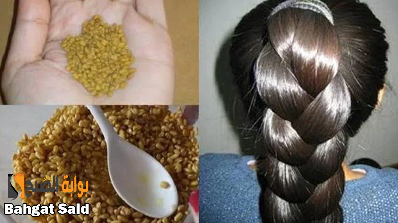 "ماسك الحلبة" أسرع وأقوى طريقة لزيادة طول الشعر وتكثيفه وتنعيمه في وقت قليل 5 “ماسك الحلبة” أسرع وأقوى طريقة لزيادة طول الشعر وتكثيفه وتنعيمه في وقت قليل