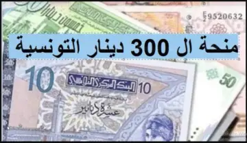 “منحة 300 دينار 2024 social.gov.tn/ar“ التسجيل في منحة 300 دينار والشروط المطلوبة وزارة الشؤون الاجتماعية