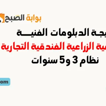 موعد إعلان نتيجة الدبلومات الفنية الصناعية والتجارية والزراعية والفندقية 2024 موقع نتائج الدبلوم الفني نظام 3 و5 سنوات