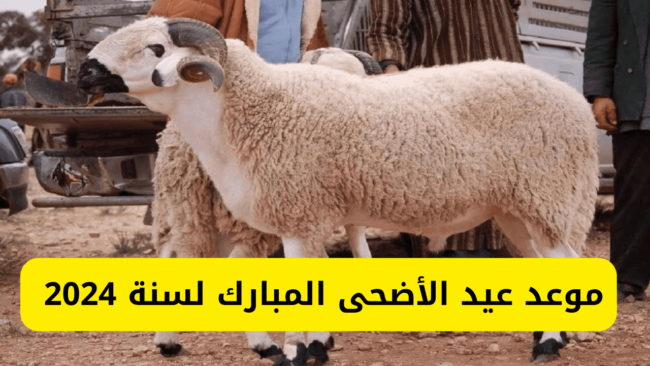 موعد عيد الأضحى المبارك 2024 ما هي أهمية العيد؟ 5 موعد عيد الأضحى المبارك 2024 ما هي أهمية العيد؟