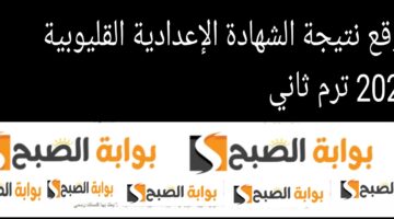موقع نتيجة الشهادة الإعدادية القليوبية 2024 ترم ثاني