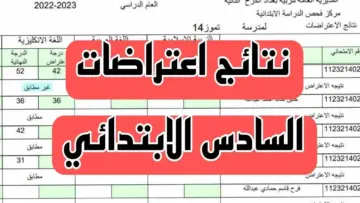 نتائجنا “epedu.gov.iq”.. رابط الاستعلام عن نتائج اعتراضات السادس الابتدائي بالعراق 2024 موقع وزارة التربية العراقية
