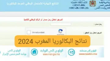 نتائج البكالوريا 2024