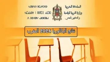 الباكلوريا في المغرب..الآن تعرف على طريقة الاستعلام عن نتيجة البكالوريا 2024 عبر هذا الرابط الرسمي