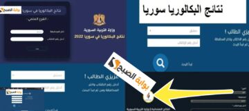 نتائج البكالوريا سوريا 2024 علمي و ادبي رسمياً الدورة الأولي moed.gov.sy