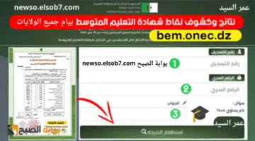 نتائج البيام 2024 الجزائر Bem onec dz