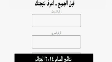 نتائج البيام الجزائر 2024
