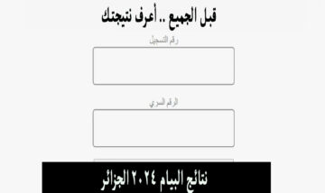 هًنا.. رابط نتائج البيام 2024 الجزائر bem.onec.dz وزارة التربية الوطنية الجزائرية دورة جوان