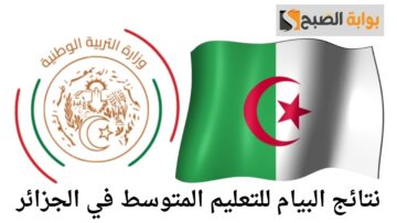 من هنا.. الاستعلام عن نتائج البيام 2024 في الجزائر من خلال بوابة الديوان الوطني