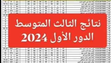 رابط شغال..نتائج الثالث المتوسط الدور الأول 2024 في جميع محافظات العراق
