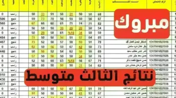 نتائج الثالث متوسط 2024 عبر موقع نتائجنا 1