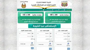 نتائج الصف التاسع 2024 اليمن 1 3