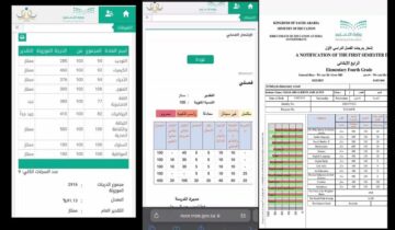 خطوة بخطوة.. كيفية الاستعلام عن نتائج الطلاب باستخدام رقم الهوية