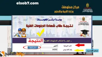 نتيجة الدبلومات الفنية 2024 بالاسم