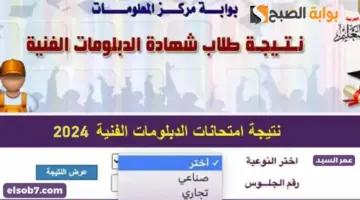 نتيجة الدبلومات الفنية 2024 برقم الجلوس