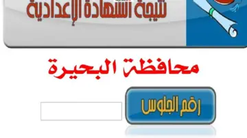 للجميع.. نتيجة الشهادة الإعدادية محافظة البحيرة excel الصف الثالث الإعدادي