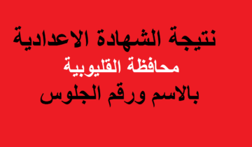 بالاسم ورقم الجلوس| استعلام نتيجة الشهادة الاعدادية محافظة القليوبية دور أول 2024