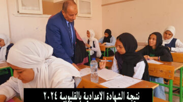 نتيجة الشهادة الاعدادية بالقليوبية 2024