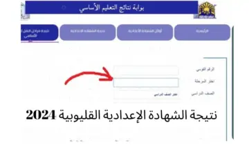 برقم الجلوس.. خطوات الاستعلام نتيجة الشهادة الاعدادية في القليوبية 2024 وتوزيع الدرجات