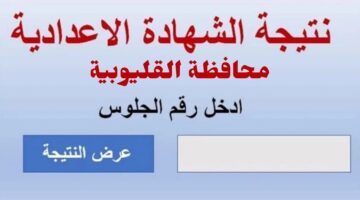 نتيجة الشهادة الاعدادية محافظة القليوبية