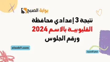 نتيجة الصف الثالث الإعدادي برقم الجلوس 2024 القليوبية لينك نتائج إعدادية القليوبيه بالاسم وزارة التربية والتعليم
