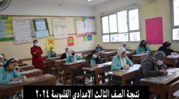 نتيجة الصف الثالث الاعدادي القليوبية 2024