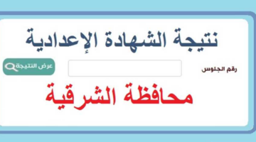 نتيجة الصف الثالث الاعدادي محافظة الشرقية 2024