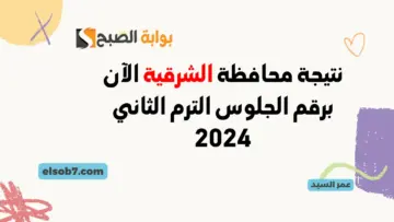 نتيجة محافظة الشرقية الآن برقم الجلوس الترم الثاني 2024 موقع نتائج الشرقيه ثالثة اعدادي بالاسم