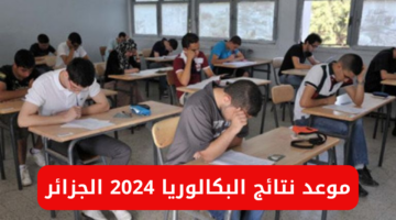 نص فقرتك 14