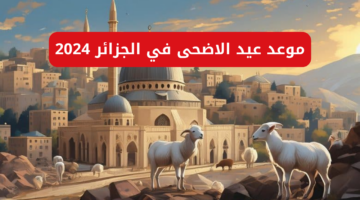نص فقرتك 2
