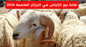نص فقرتك 4 1