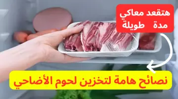 هتقعد معاكي للعيد الجاي.. نصائح هامة لتخزين لحوم الأضاحي بشكل صحي وسليم