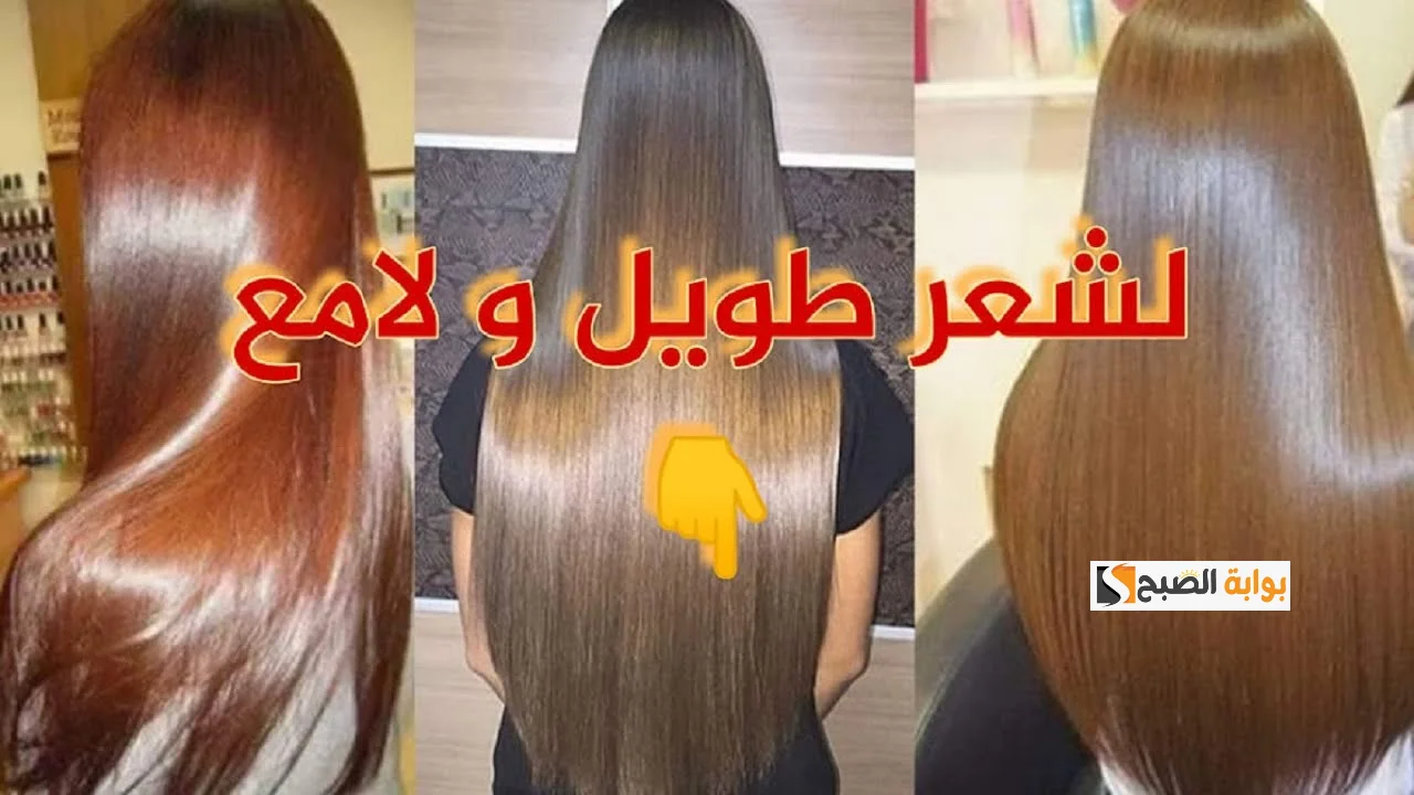 بمكونات موجودة في المنزل.. قناع البيض وزيت الخروع لزيادة طول الشعر العاجز والقصير وصفة طبيعية لتطويل الشعر بسرعة فائقة 5 بمكونات موجودة في المنزل.. قناع البيض وزيت الخروع لزيادة طول الشعر العاجز والقصير وصفة طبيعية لتطويل الشعر بسرعة فائقة