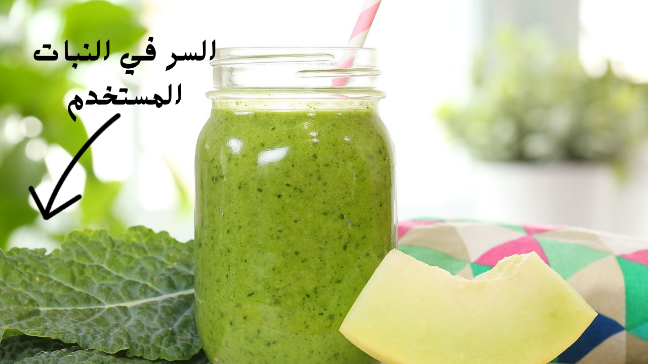 سعره وصل لـ 100جنيه .. ضعي هذا المكون الخلاط الكهربائي  واحصلي على صوص النعناع في 10 دقائق ووفري فلوسك