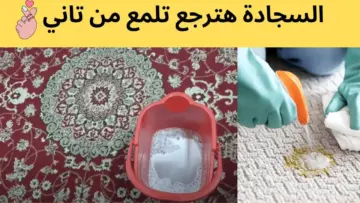 فكرة عبقرية.. تنظيف السجاد من الأتربة والبقع والاتسخات في ثواني بدون مجهود هترجعيها جديدة